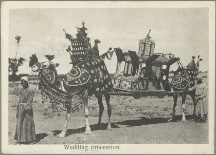 Egyptian characters, etc. Camels used for carrying bridal party to wedding LOC m, 1900